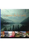 Camino de la Luna