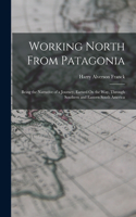Working North From Patagonia