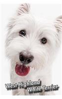 West Highland White Terrier: 2020 Weekly Calendar 12 Months 107 pages 6 x 9 in. Planner Diary Organizer Agenda Appointment Half Spread Wide Ruled Pages