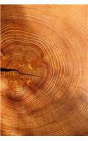 Growth Rings of a Spruce Tree Journal