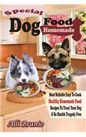 Special Dog Food Homemade