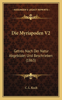 Myriapoden V2