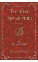 The Gay Adventure: A Romance (Classic Reprint)