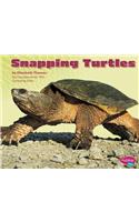 Snapping Turtles