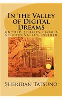 In the Valley of Digital Dreams