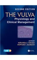 The Vulva