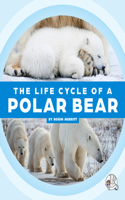 Life Cycle of a Polar Bear