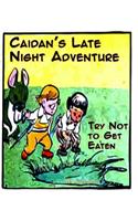 Caidan's Late Night Adventure