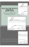 Mocha the Whale - the Real Moby Dick