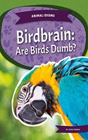 Birdbrain