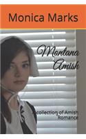 Montana Amish: A collection of Amish Romance