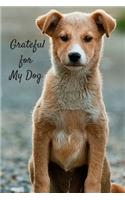 Grateful for My Dog: Gratitude Journal