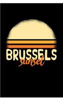 Brussels Sunset
