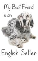 My best Friend is an English Setter
