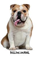 Bulldog Journal: English Bulldog 6 x 9 inch dog notebook, college ruled, lined paper, 200 pages