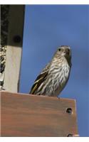 Pine Siskin (Carduelis Pinus) Bird Journal: 150 page lined notebook/diary
