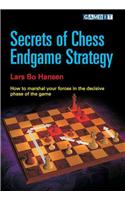 Secrets of Chess Endgame Strategy