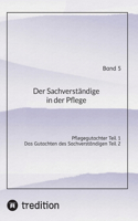 Sachverständige in der Pflege Band 5