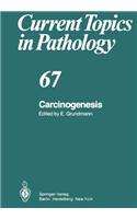 Carcinogenesis