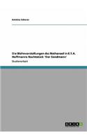Wahnvorstellungen des Nathanael in E.T.A. Hoffmanns Nachtstück 'Der Sandmann'
