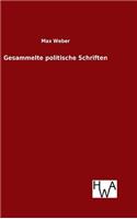 Gesammelte politische Schriften
