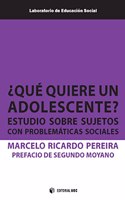 Â¿Que quiere un adolescente?: Estudio sobre sujetos con problematicas sociales