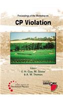 Cp Violation - Proceedings of the Workshop