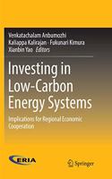 Investing in Low-Carbon Energy Systems