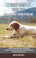 Le guide complet pour ton Chien Courant D'Istrie À Poil Ras