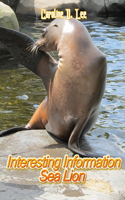 Interesting Information Sea Lion