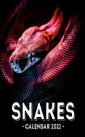 Snake Calendar 2021