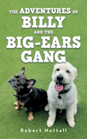 adventures of Billy and the Big-ears gang