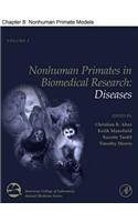 Attentional Network Deficits in Autism Spectrum Disorders