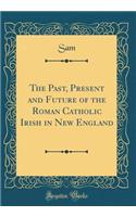 The Past, Present and Future of the Roman Catholic Irish in New England (Classic Reprint)
