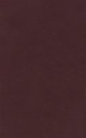 The Life of Lord Kelvin, Volume 2