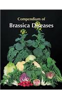 Compendium of Brassica Disease