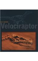 Velociraptor