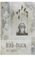 Bird Brain