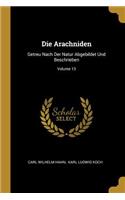 Die Arachniden