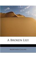 A Broken Lily