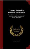 Tractate Sanhedrin, Mishnah and Tosefta