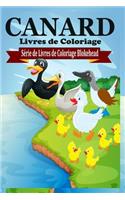 Canard Livres de Coloriage