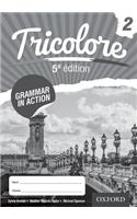 Tricolore Grammar in Action 2 (8 pack)