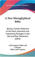 A New Hieroglyphical Bible