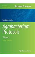 Agrobacterium Protocols: Volume 2
