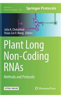 Plant Long Non-Coding Rnas