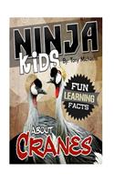 Fun Learning Facts about Cranes