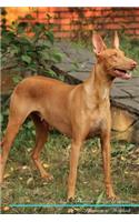 Pharaoh Hound Affirmations Workbook Pharaoh Hound Presents: Positive and Loving Affirmations Workbook. Includes: Mentoring Questions, Guidance, Supporting You.