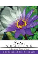 Lotus Shading Coloring Book