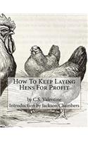 How To Keep Laying Hens For Profit